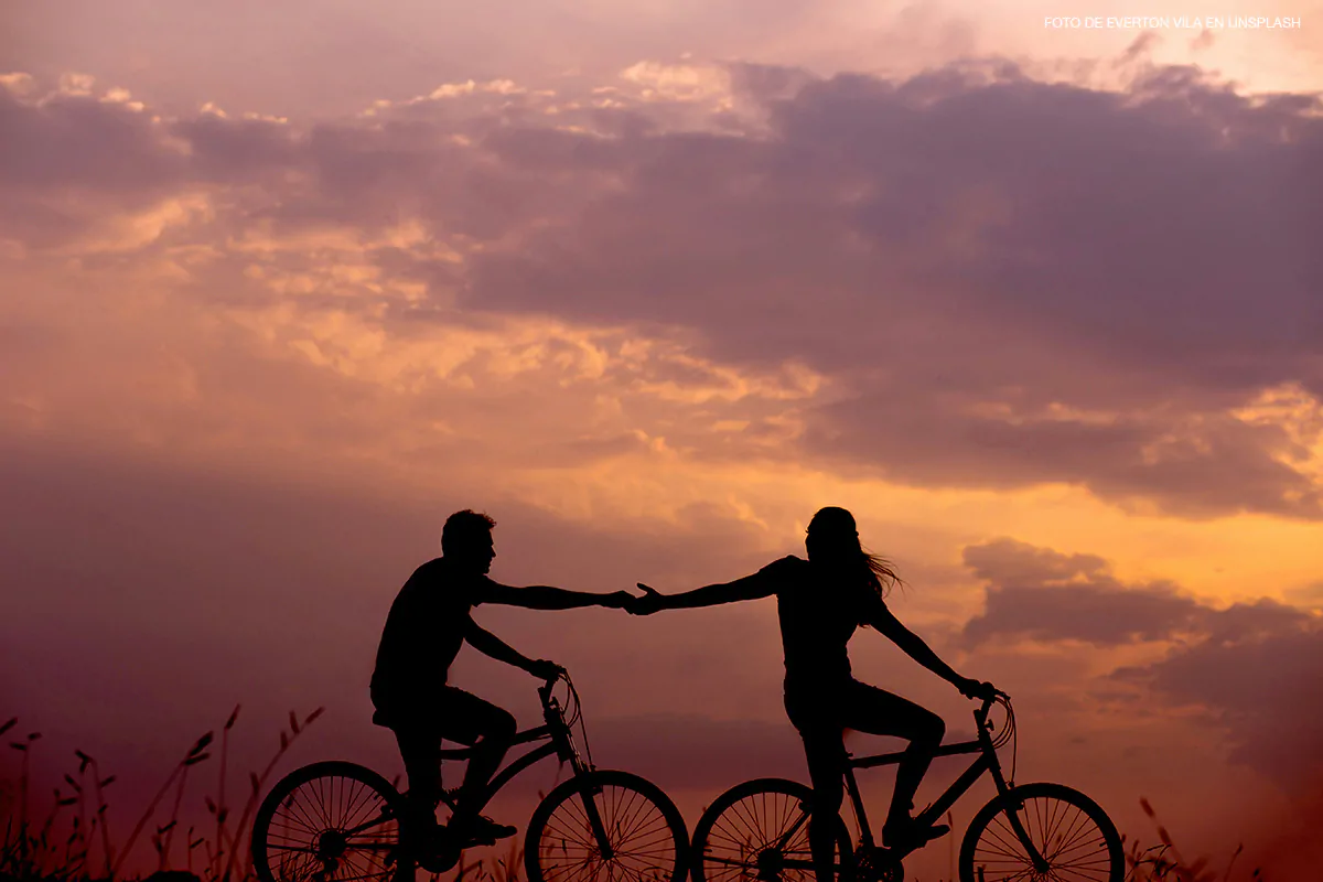 Bicicleta Detalle
